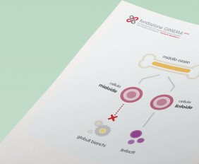 Leucemia Mieloide Acuta – Fondazione GIMEMA