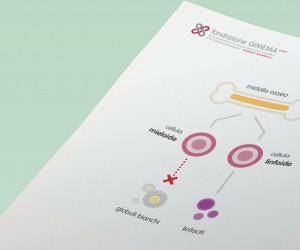 Leucemia Mieloide Acuta – Fondazione GIMEMA