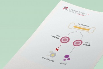 Leucemia Mieloide Acuta – Fondazione GIMEMA