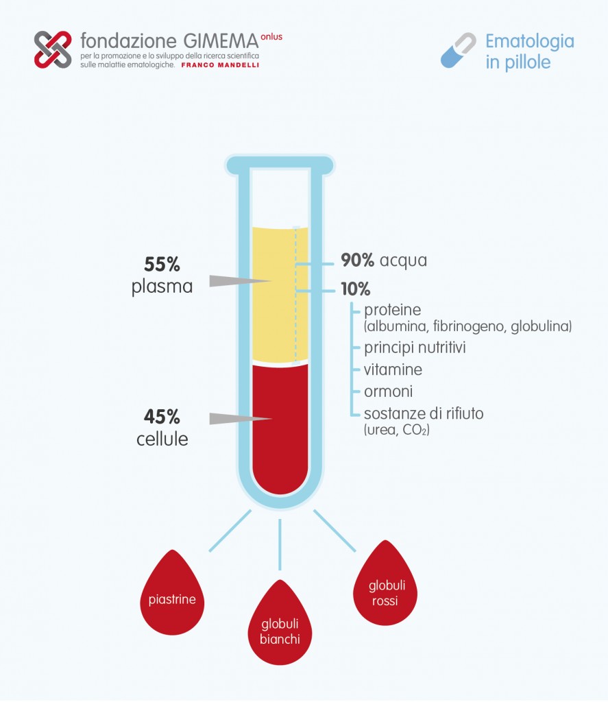 Il sangue – Ematologia in Pillole – Fondazione GIMEMA