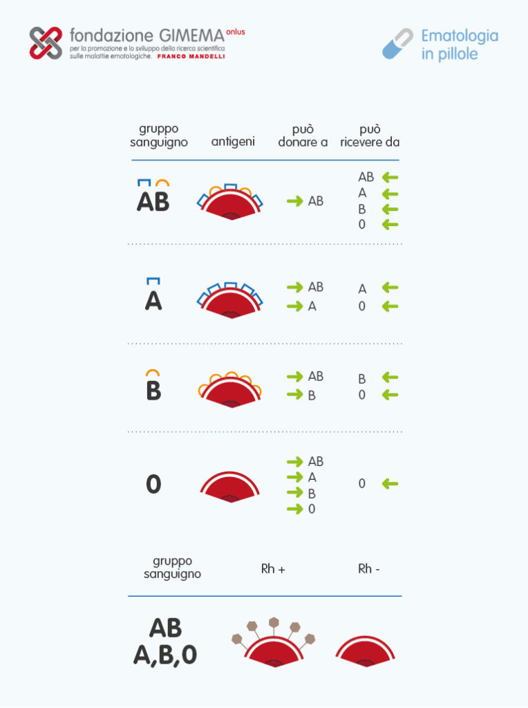 Il gruppi sanguigni – Ematologia in Pillole – Fondazione GIMEMA