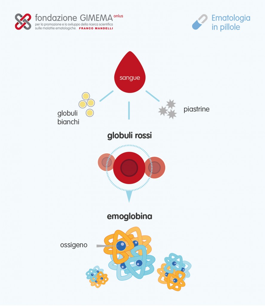 I globuli rossi – Ematologia in Pillole – Fondazione GIMEMA