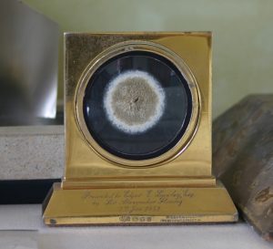 Alexander Fleming's Penicillin specimen, Alexander Fleming Laboratory and Museum, St Mary's Hospital, London (31)