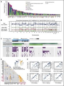 Analisi genetica dei pazienti destinati a trapianto di cellule staminali (Blood)