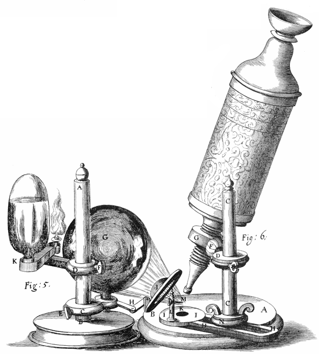 Il microscopio di Robert Hooke – Fondazione GIMEMA