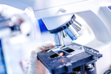 testo unico malattie rare – Fondazione GIMEMA.png