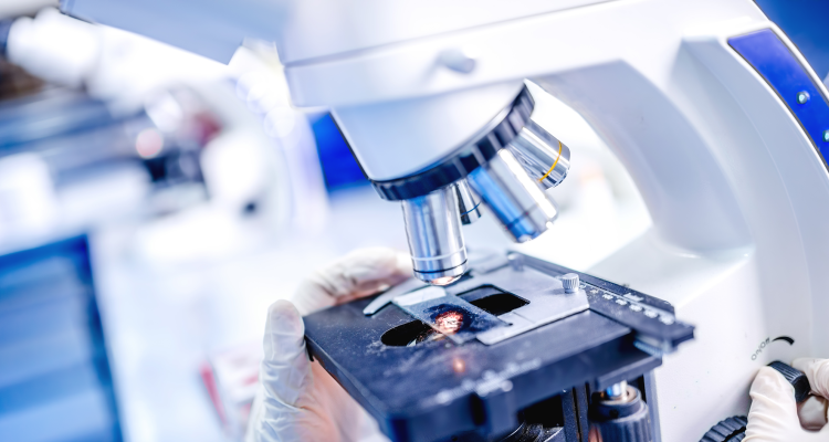 testo unico malattie rare – Fondazione GIMEMA.png