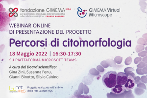 Microscopio virtuale GIMEMA - Fondazione GIMEMA