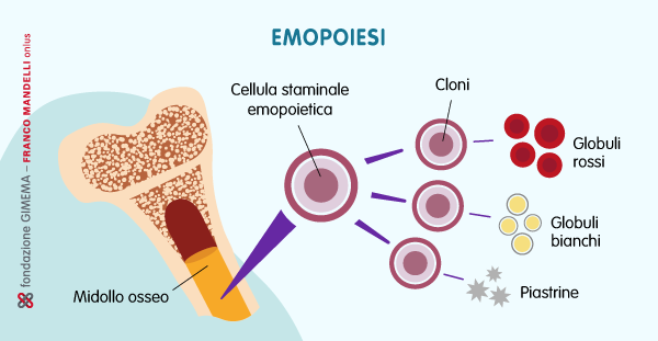 emopoiesi clonale
